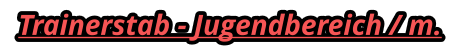Trainerstab - Jugendbereich / m.